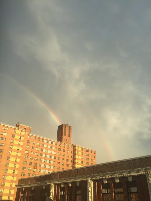 Ny生活について 英語 を喋れなかった私 オンライン英会話 ビジネスオンライン英会話 こどもオンライン英会話 無料体験レッスン実施中 ワールドウィングスターworldwingstar