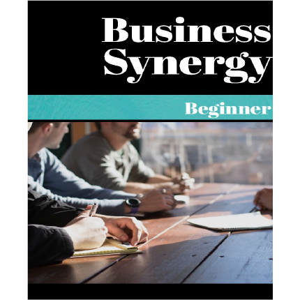Business Synergy / beginner