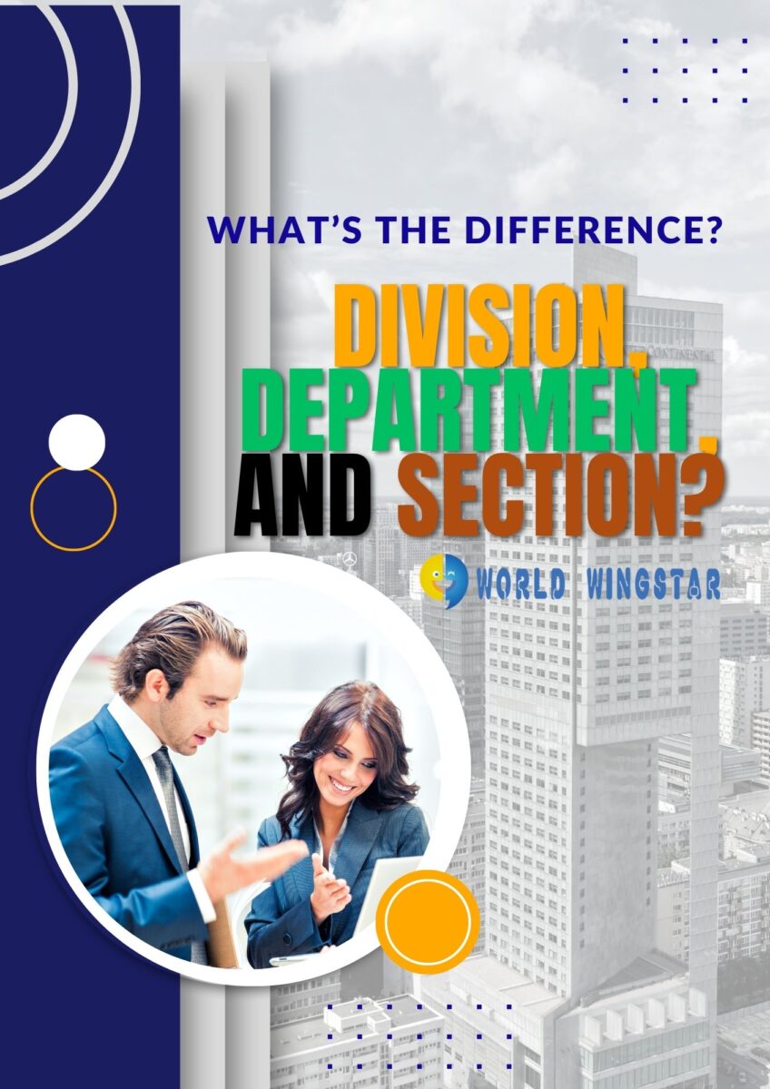 📚 ESL Blog: What’s the Difference Between Division, Department, and Section?